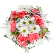 Celebrating the essence of Hampton's florist creativity, this overhead bouquet delights the senses with bright white daisies and deeply textured coral-pink carnations interspersed amidst clouds of soft baby's breath. The daisies, with their lime centers, burst through the composition like rays of sunlight reflecting off the Thames, while the ruffled carnations cast shadows and depth reminiscent of blooming summer hedgerows by the station. Threads of eucalyptus introduce a spell of aromatic freshness and muted green, cradling the colourful blossoms within a gentle embrace. Discreetly nestled between petals, slender buds-flecked in purples and pinks-add a sophisticated whisper of future blooms. This round, harmonious arrangement is a tactile symphony: the airy gypsophila contrasts with the velvety carnation petals, all contained within a carefully structured frame. The harmonious palette and thoughtfully balanced textures lend the bouquet a tranquil yet joyful impression, perfect for marking birthdays, anniversaries, or simply sending a piece of Hampton's vibrant, green-tinged atmosphere to a special friend or family member. The artistry and freshness of this piece capture the spirit of local, heartfelt gift-giving in every petal.